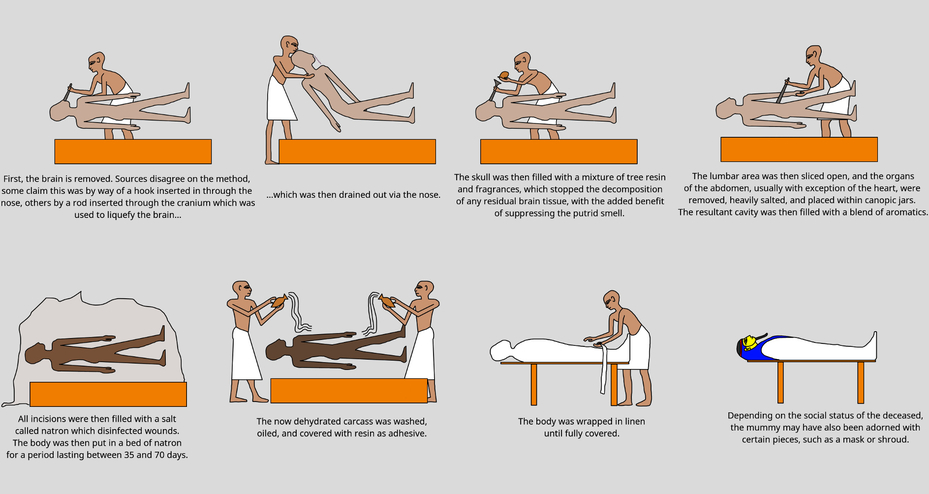 Mummification Process Pharaoh Ancient Egypt Brain Heart Salt Natron Bath Mummy